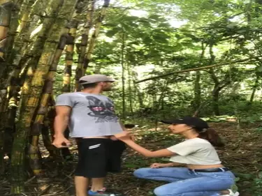 Kebun Bambu Saksi Pasangan Remaja Ngentot Liar